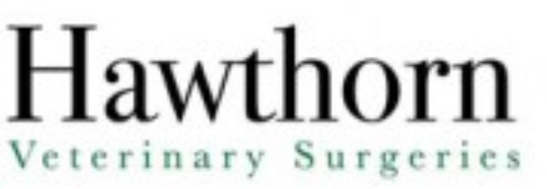 Hawthorn Veterinary Surgery
