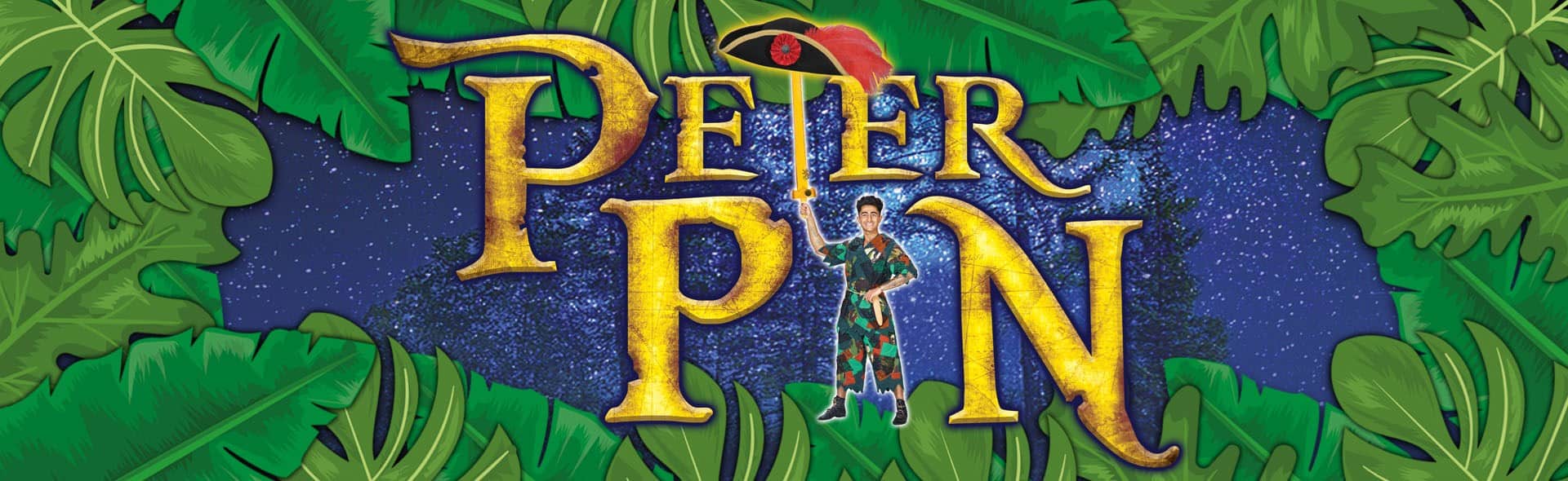 peter pan horsham pantomime