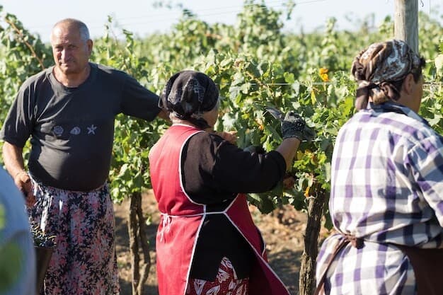 Council Recognizes Del Vino Vineyards as Economic and Cultural Powerhouse