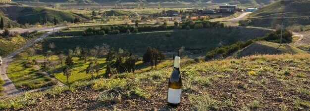 Sustainable Wine Revolution Propels Hillside Haven to Global Acclaim