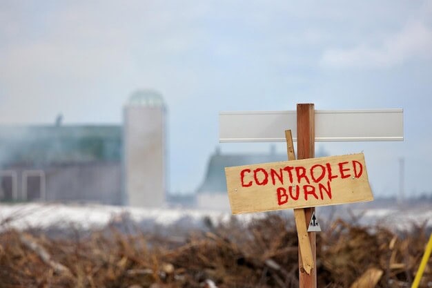 Horsham Risks Development Standstill as Council Local Plan Rejected