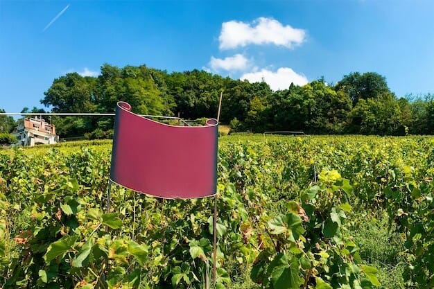 horsham council recognises local vineyard