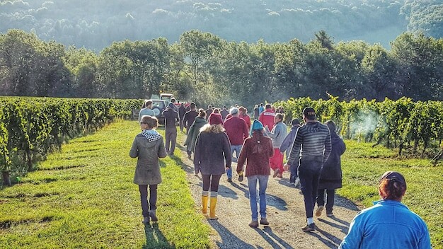 Horsham council vineyard business tour