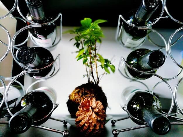 Horsham Wines Steal Spotlight with Global Awards and Eco Innovations