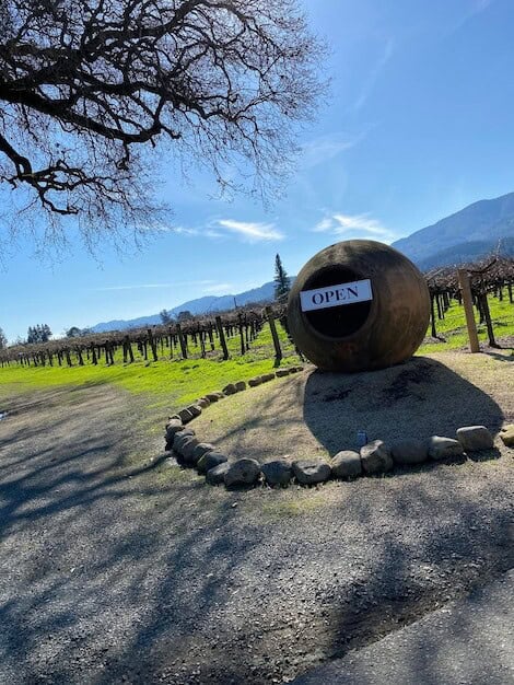 Vineyard Triumph Puts Horsham on Global Wine Map – Here's Why