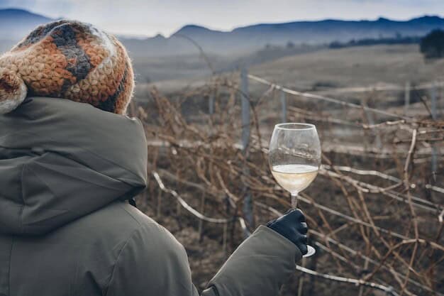 Is Your Vineyard Missing Out as Horsham Valley Takes Top Honors?