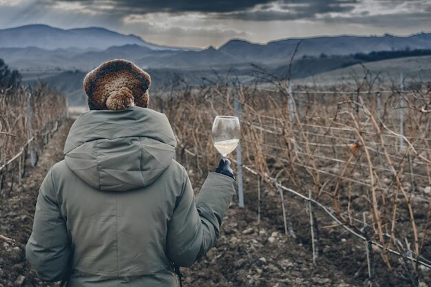 Horsham Vineyards Break Through: See the Secrets Behind Their Rise