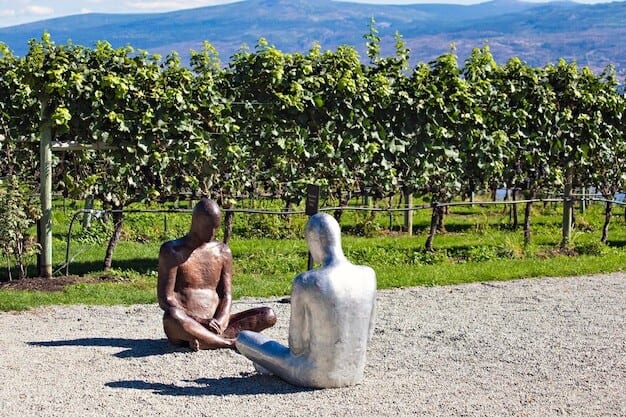 Horsham Vineyard Leads Sussex Wine Renaissance With Prestigious Council Nod