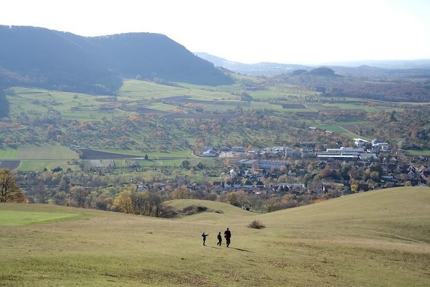 Horsham Valley's Award Is Setting New Standards for UK Wineries