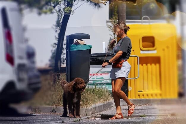 Eco Revolution: Horsham’s Pink Van Transforms Waste Collection