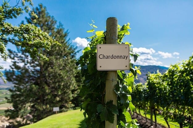 Sussex Vineyard Sets National Standard with Award-Winning Sustainability