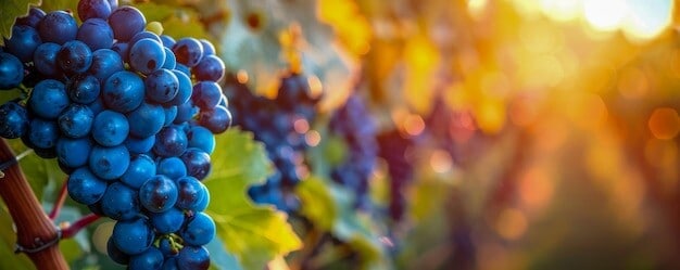 Council Recognition Launches Horsham Vineyard Into National Spotlight