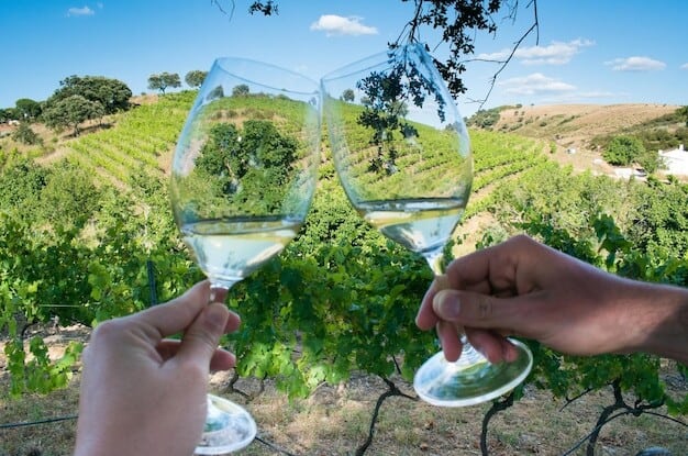 Del Vino Vineyards Puts Our Region on the Global Wine Map