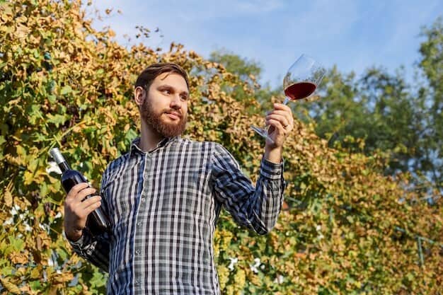 Local Vineyard Awarded for Breaking Wine Industry's Sustainability Barriers