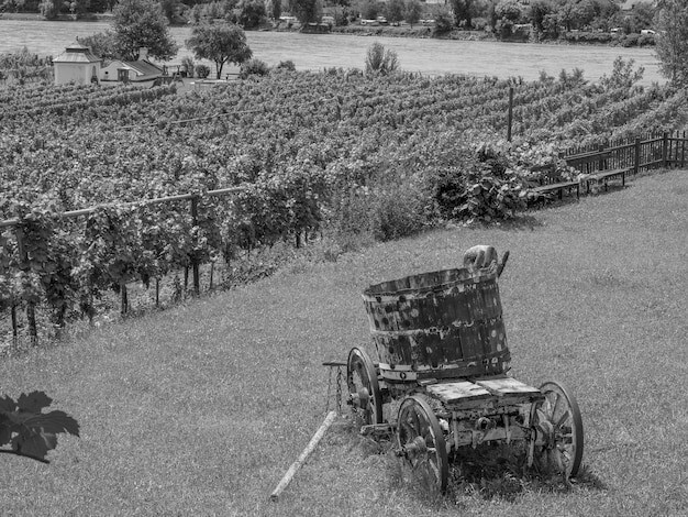 Iron Horse Vineyard's Triumph Sparks Urgent Winemaking Revolution