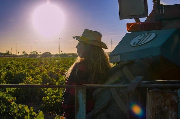 City Council Boosts Vineyard Recognition Pushing Region Into Spotlight