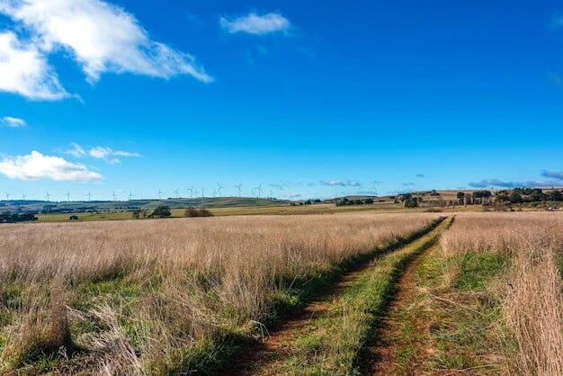 Ifield's Future at Stake Massive Development Sparks Controversy