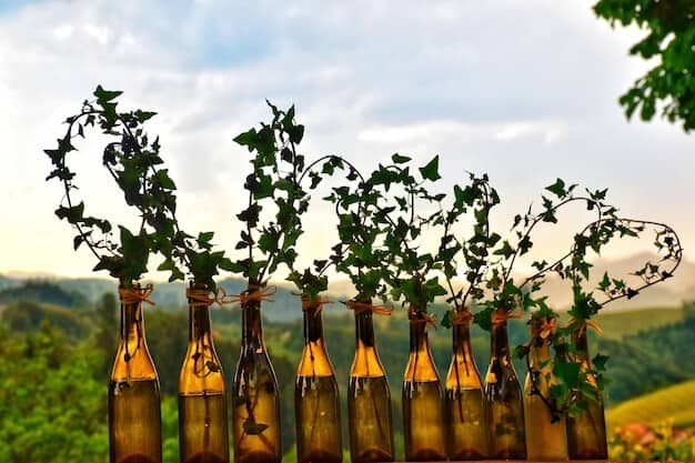 Sussex Wines Surge Horsham Valley Vineyard Leads a £5M Economic Boost