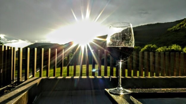 Horsham Vineyard Triumph Sparks Wine Tourism Boom Don't Miss Out