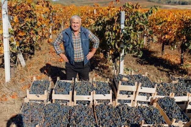 Horsham Vineyard Gains Major Boost with Council Endorsement
