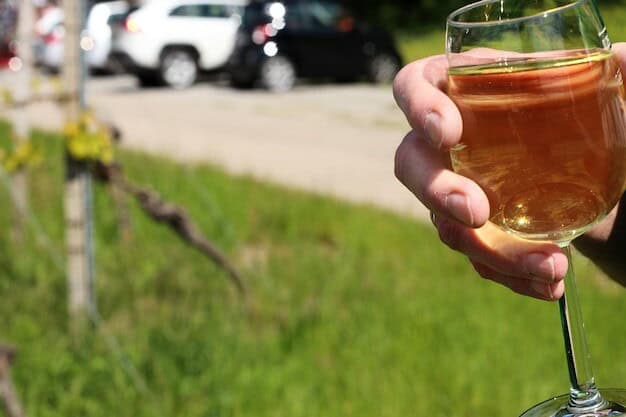 Horsham Vineyard Wins Big Fueling Local Economy and Wine Tourism