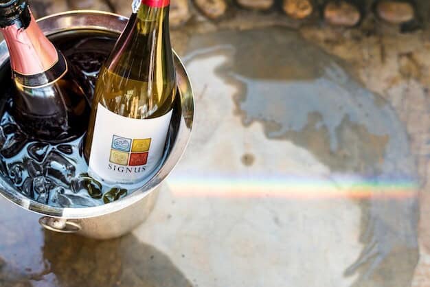 English Wines Rising West Sussex's Vineyard Triumph Gains Crucial Backing
