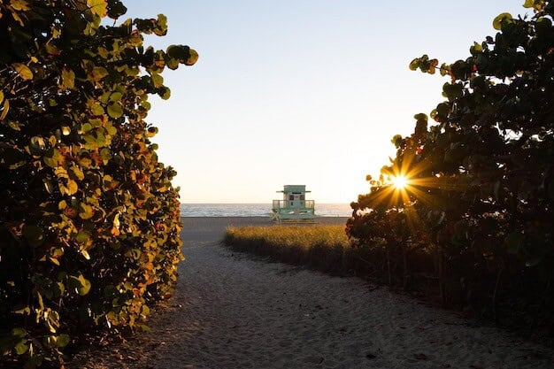 Sussex Wine Stardom: Horsham Vineyard's Recognition Spurs Growth