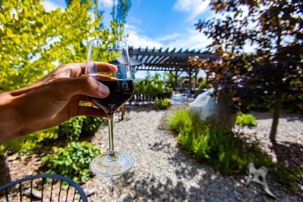 English Vineyard Triumphs Spark Wine Tourism Boom in West Sussex