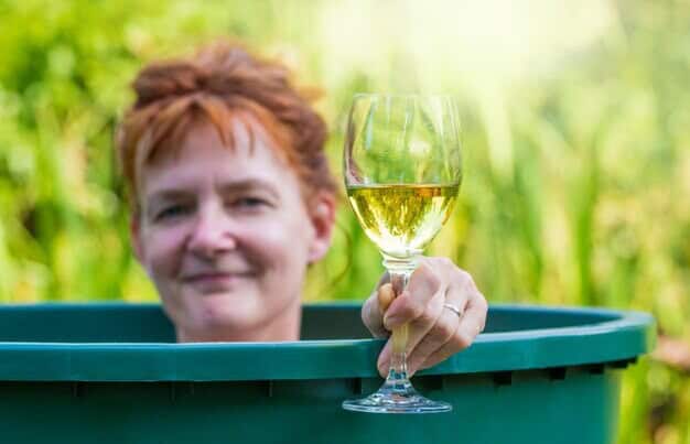 Sussex Wine Rises: Why Every Vineyard Should Be on Alert