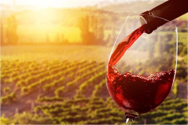 Horsham Valley Vineyard Puts Local Wine Industry on the Global Map