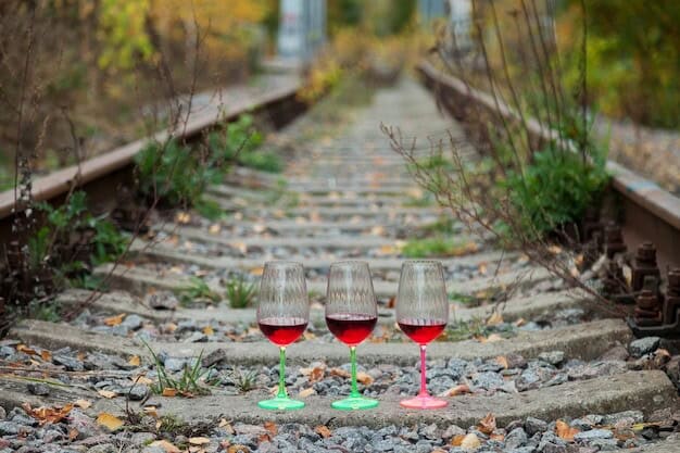 Sussex Wine Boom: Is Your Winery Missing the Next Big Wave?