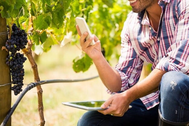 horsham council vineyard recognition