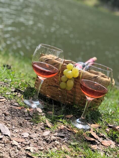 West Sussex Wine Boom Highlights Nutbourne's Award-Winning Success
