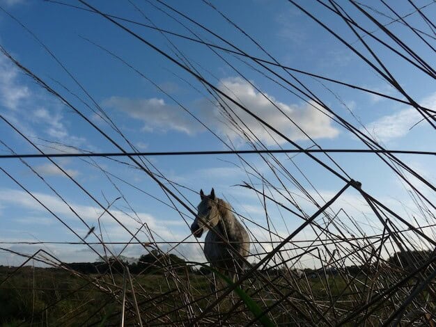 Rejection Chaos Unravels Horsham's Development Ambitions
