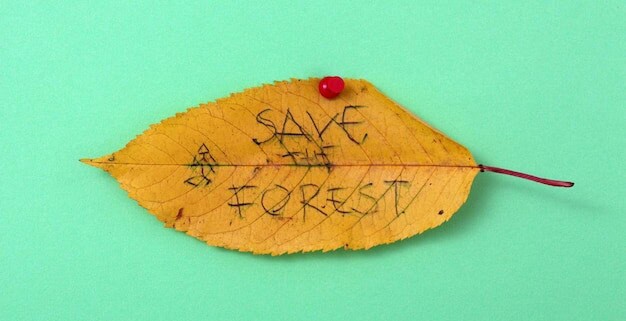 Rejected Local Plan Leaves Horsham's Housing and Sustainability in Limbo