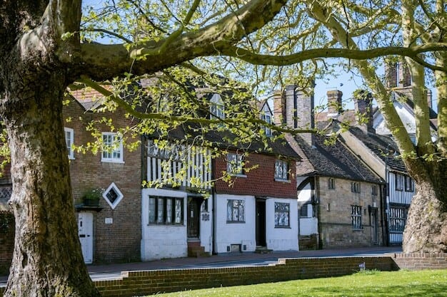 Homes England's 10K Home Plan Sparks Community Uproar in Horsham