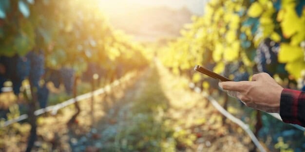 Award-Winning Vineyard Sets New Standard in Sustainable Winemaking