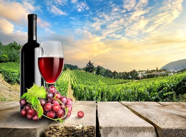 English Vineyard Rocks Wine World Put Sussex on the Global Map