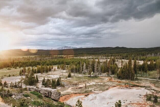 Is West of Ifield Development a Future Asset or Environmental Disaster