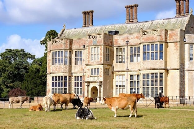 Horsham's Sussex Six Event Ignites Culinary FOMO for Local Delights